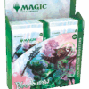 Magic: The Gathering Bloomburrow Collector Booster Box